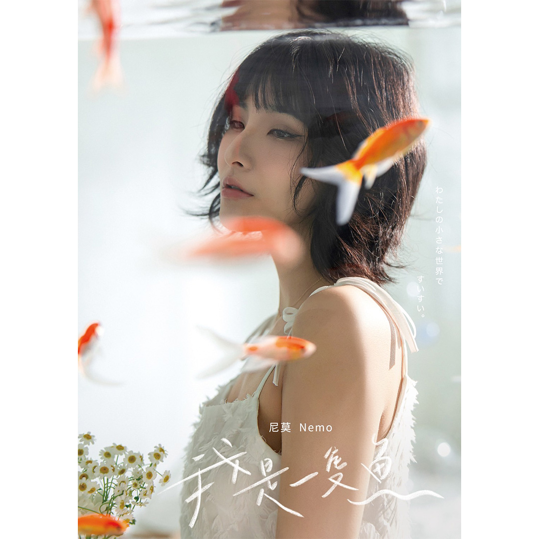 我是一隻魚 專輯封面